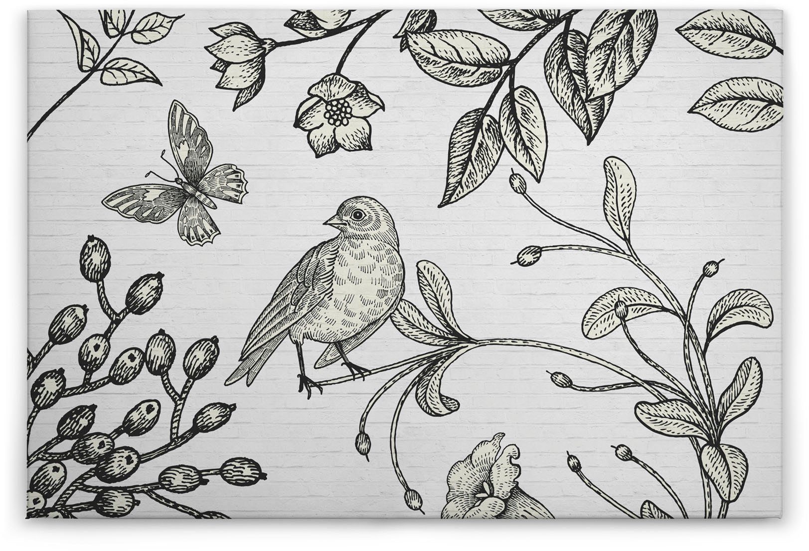 Schwarz-Weiß birdy, weiß, A.S. St), schwarz Leinwandbild Création Floral Keilrahmen Zeichnung (1 Bild