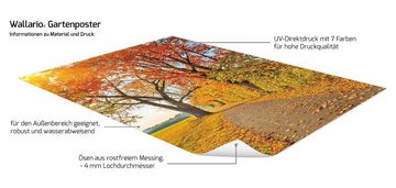 Wallario Sichtschutzzaunmatten Herbstlicher Waldweg mit buntem Laub