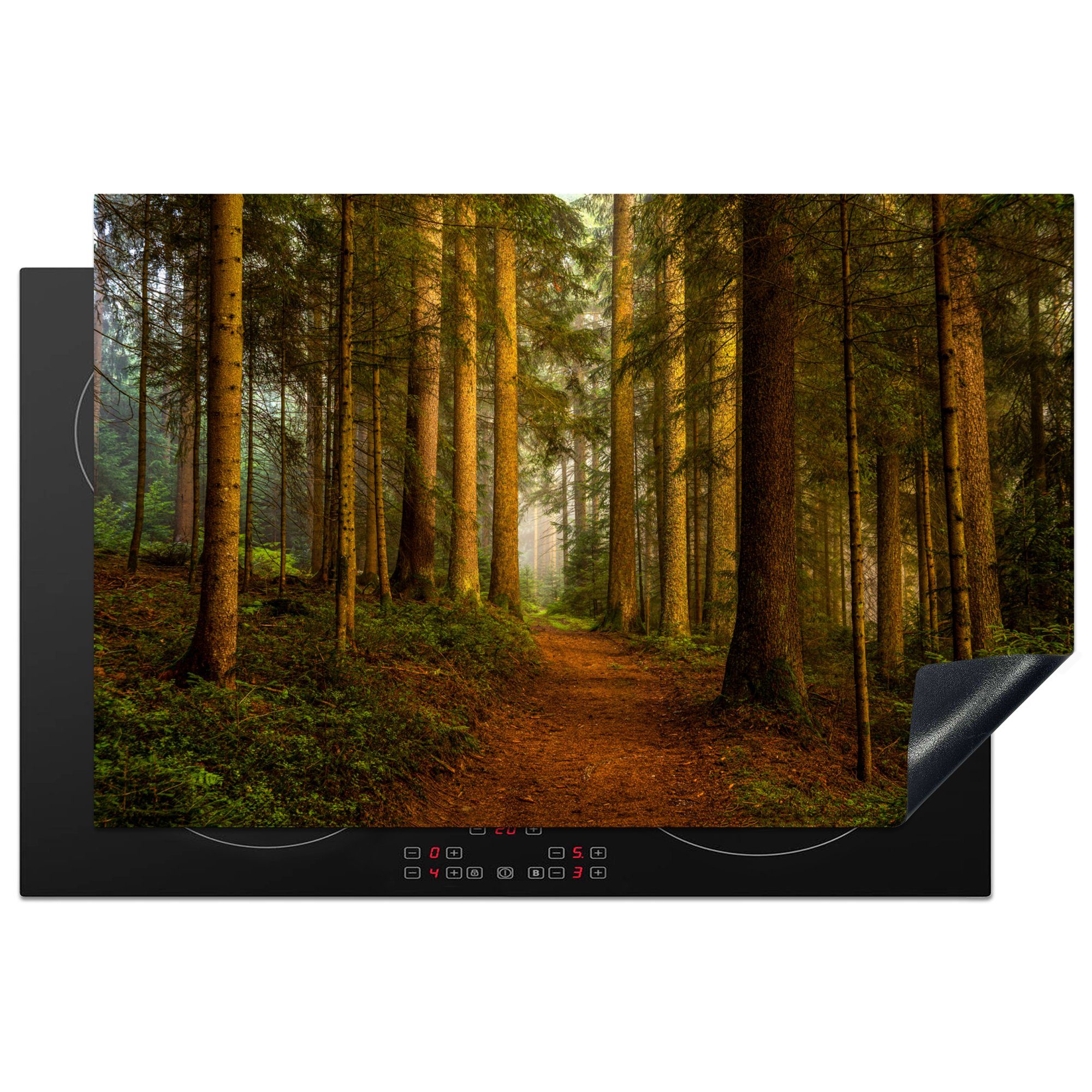 MuchoWow Herdblende-/Abdeckplatte Wald - Natur - Bäume - Landschaft - Laub, Vinyl, (1 tlg), 81x52 cm, Ceranfeldabdeckung, Arbeitsplatte für küche