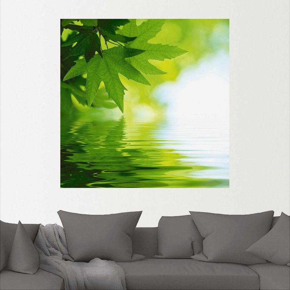Artland Wandbild Grüne Blätter reflektieren im Wasser, Blätter (1 St), als  Alubild, Leinwandbild, Wandaufkleber oder Poster in versch. Größen
