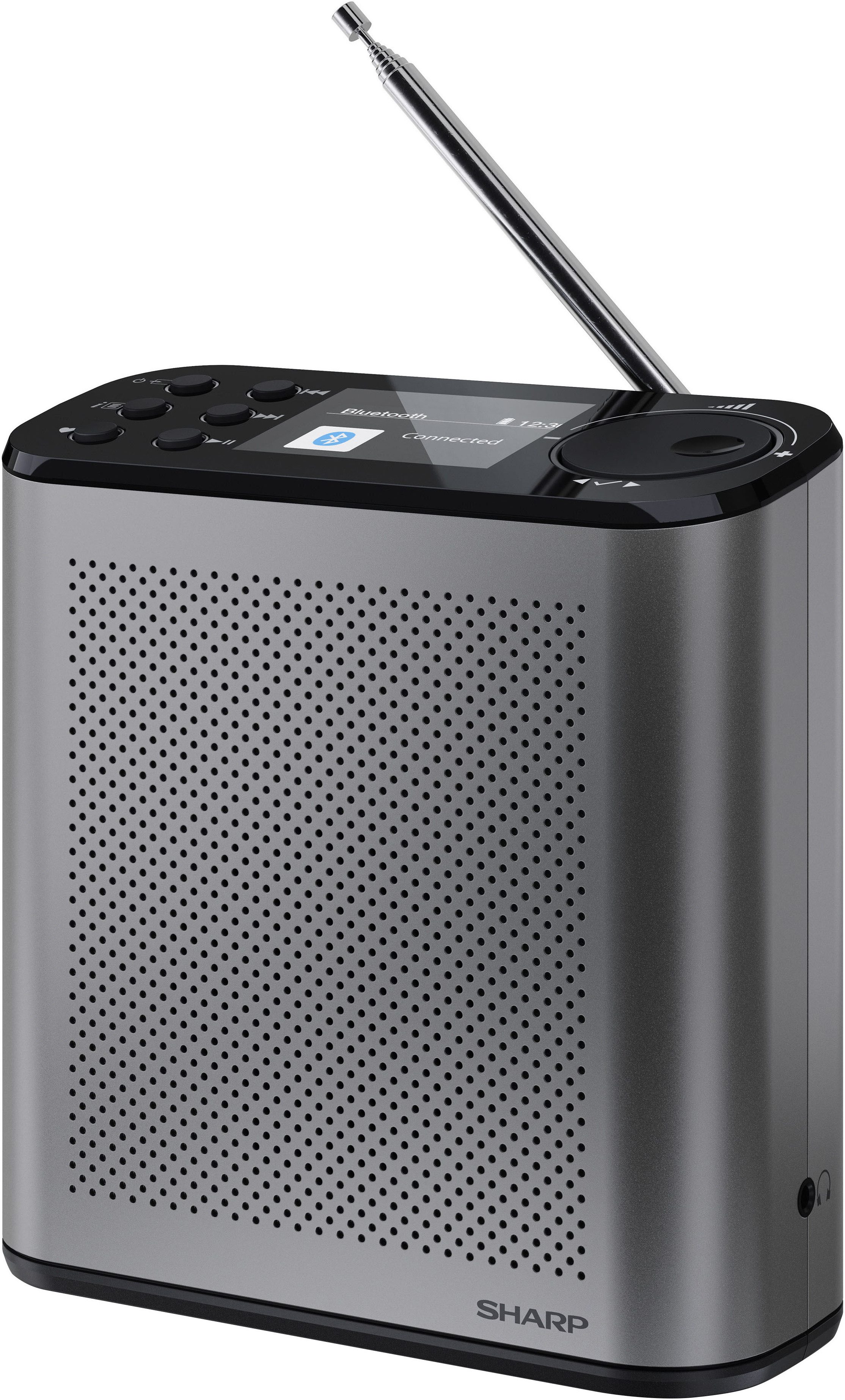 Sharp DR-P530(GY) Digitalradio (DAB) (Digitalradio (DAB), UKW mit RDS)