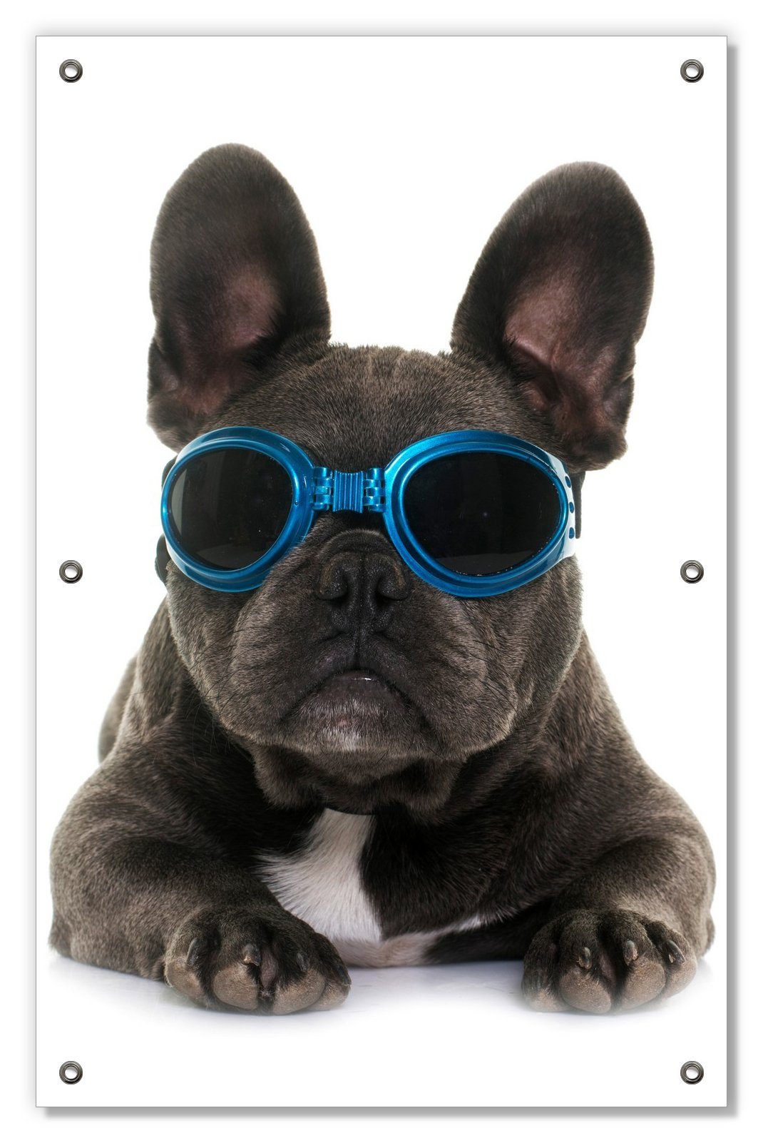 Sonnenschutz Cooler Hund mit Sonnenbrille in blau - Französische Bulldogge, Wallario, blickdicht, mit Saugnäpfen, wiederablösbar und wiederverwendbar