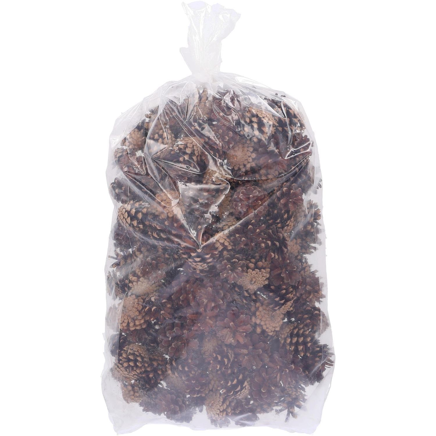 Trockenblume Sylvestris (Waldkiefer) - 2 kg - natur, Vosteen