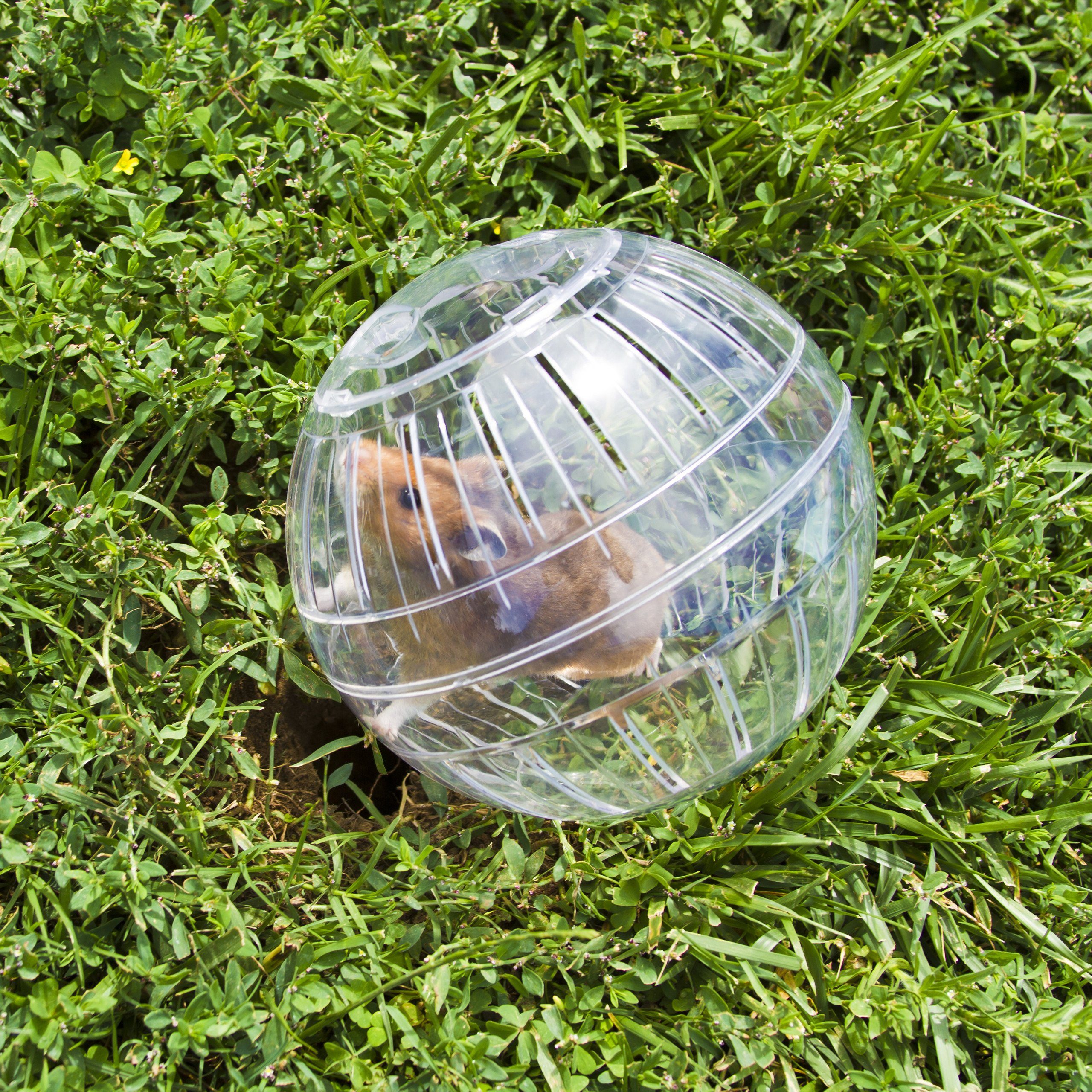 transparent, relaxdays 2 Hamsterball x Kunststoff Tierball