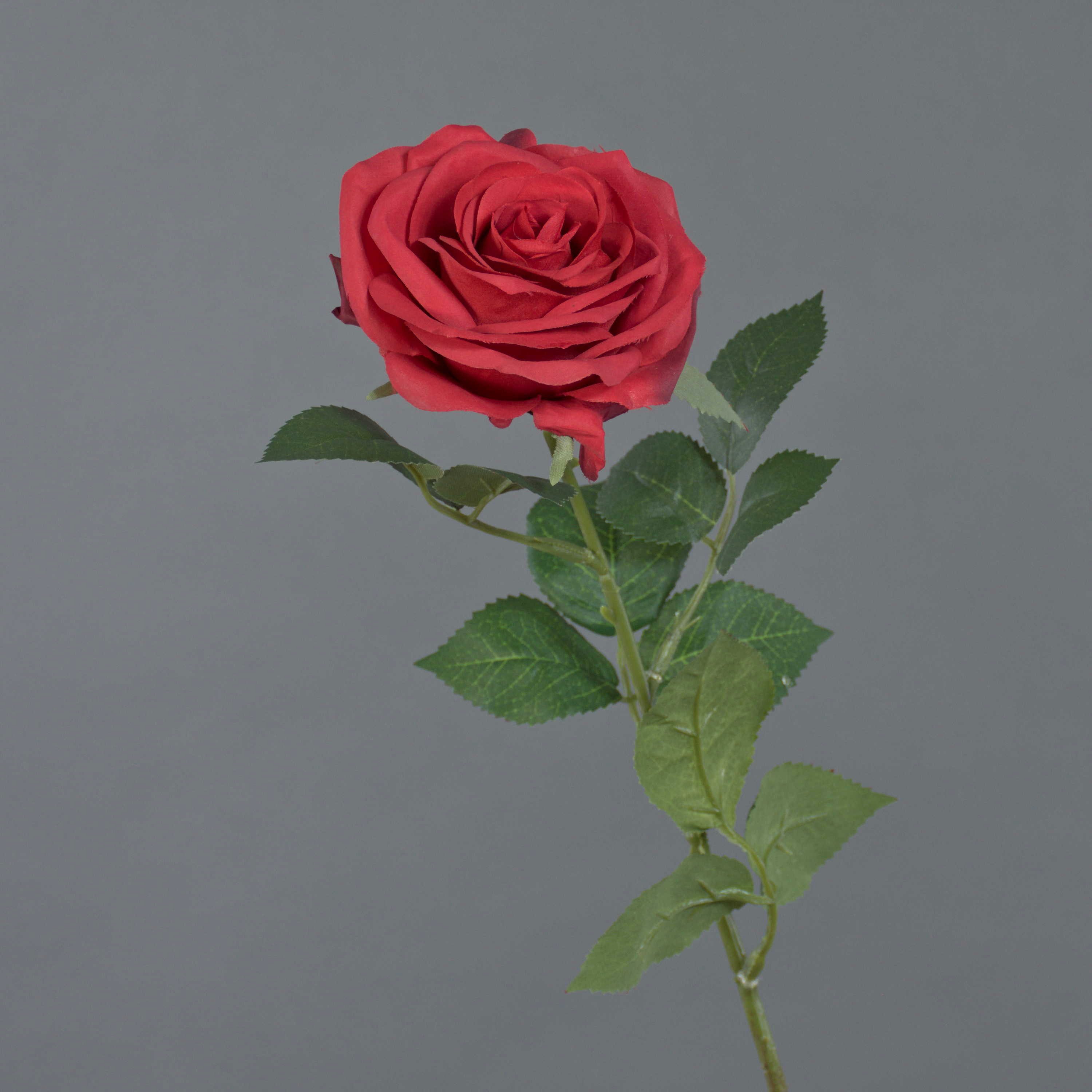 Kunstblume Kunstrose Kailin, rot, 65 cm Rose, artplants, Höhe 65.0 cm