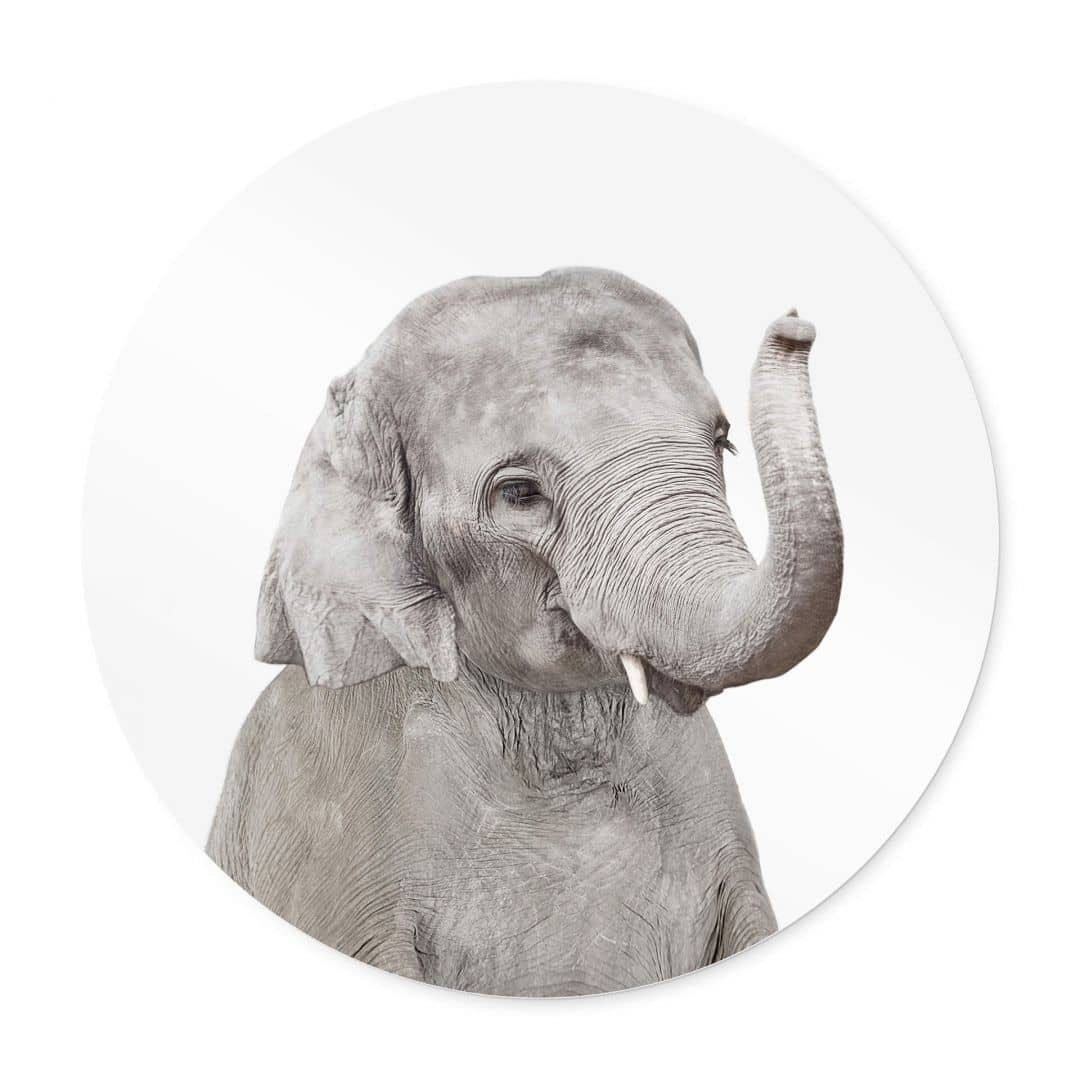 K&L Wall Art Wandbild Wandposter Poster Safari Deko Schlafzimmer Elefant modern Kinderzimmer Poster Baby Tiere Sisi&Seb