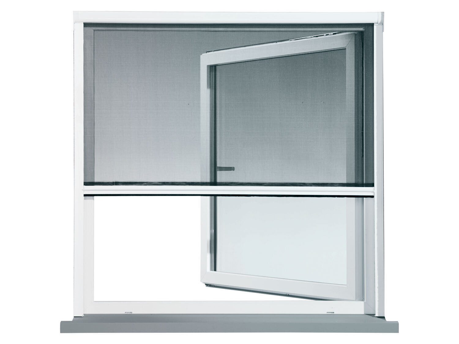 Insektenschutzrollo Fenster Fliegengitter Rollo Insektenschutz 130x160 günstig online kaufen