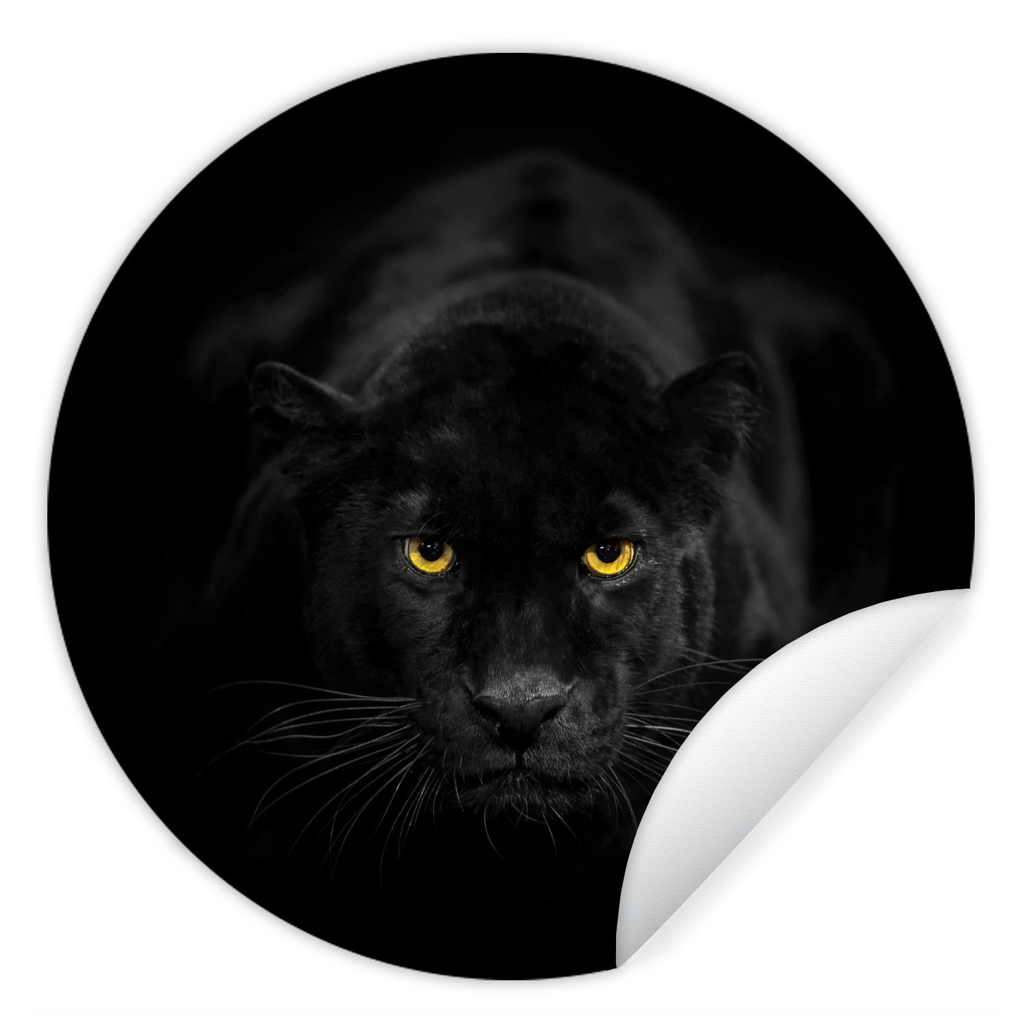 MuchoWow Wandsticker Panther - Tiere - Schwarz - Augen (1 St), Tapetensticker, Wandbild rund, Kinderzimmer, Wohnzimmer, Einteilig