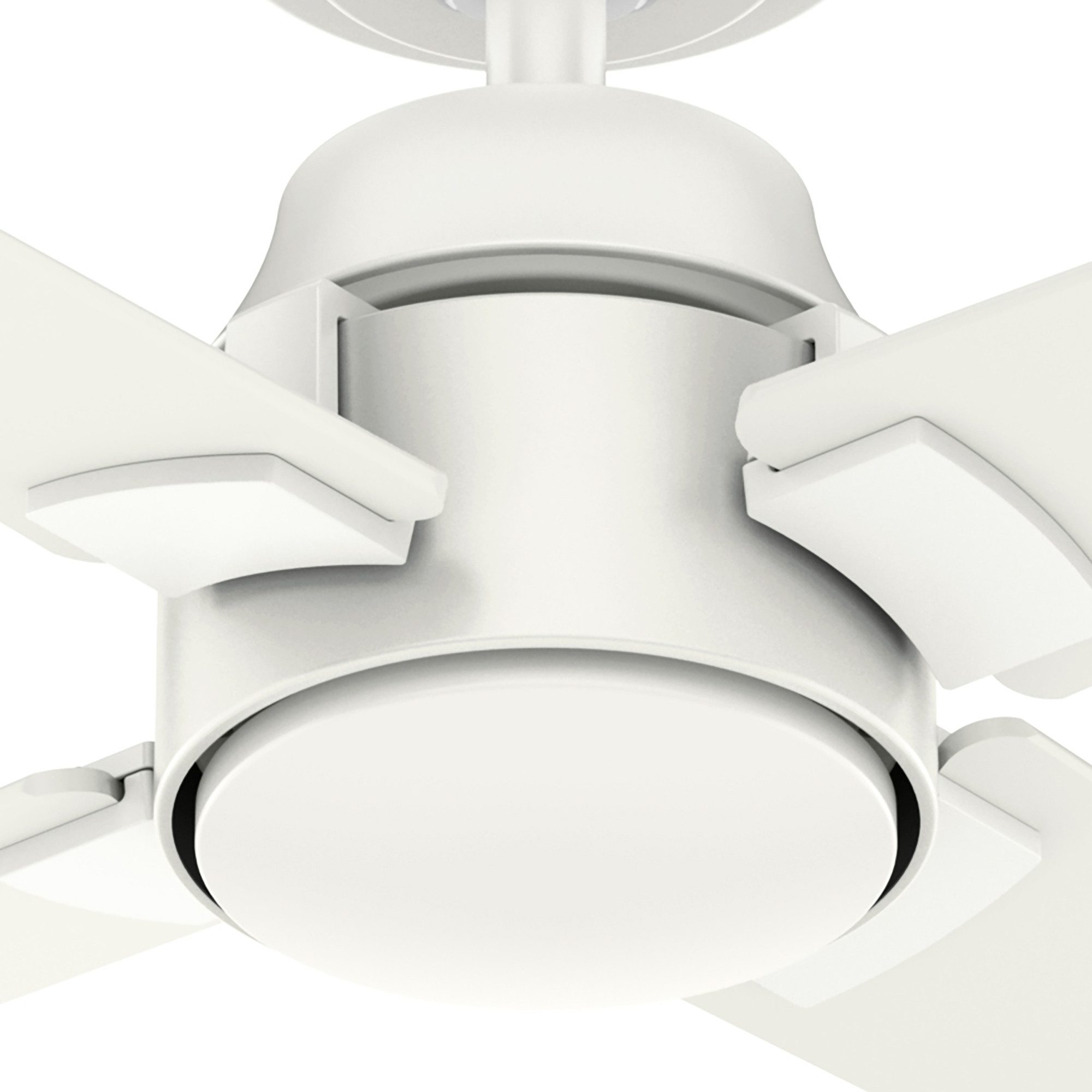 Hunter Deckenventilator Deckenventilator Cordelia M Weiß mit Fernbedienung