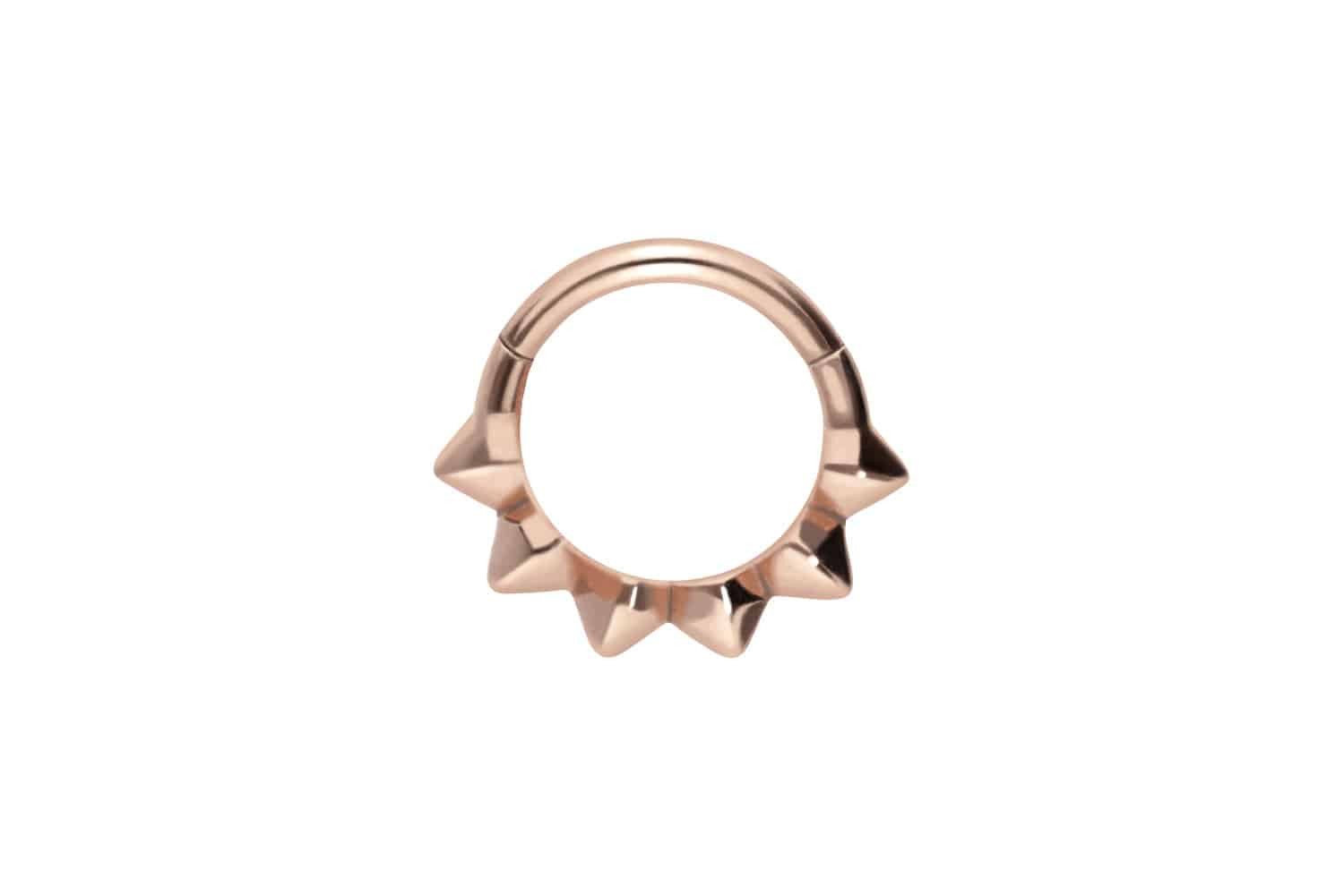 Nasenpiercing Chirurgenstahl Segmentring Clicker SPITZEN Ohrpiercing Septum Nase