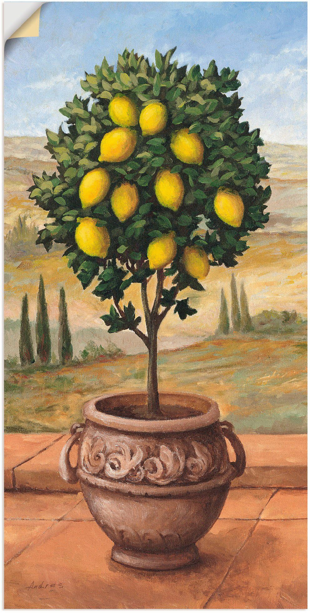 in oder Poster Artland Wandbild Größen Bäume Zitronenbaum, St), versch. Leinwandbild, Alubild, (1 als Wandaufkleber