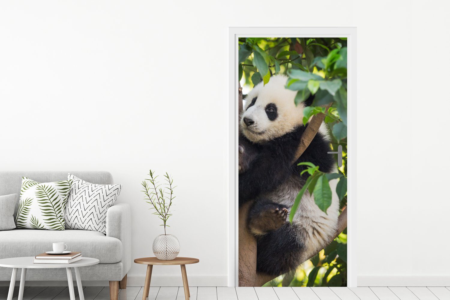 für bedruckt, - Panda MuchoWow Türaufkleber, Baum, Fototapete (1 St), Tier Türtapete - 75x205 cm Tür, Matt,