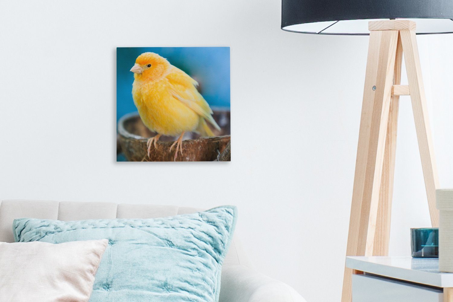 (1 der bei für Kanarienvogel, sitzt, Nest seinem Bilder Leinwand Leinwandbild OneMillionCanvasses® St), gelber europäischer Schlafzimmer Wohnzimmer Leuchtend