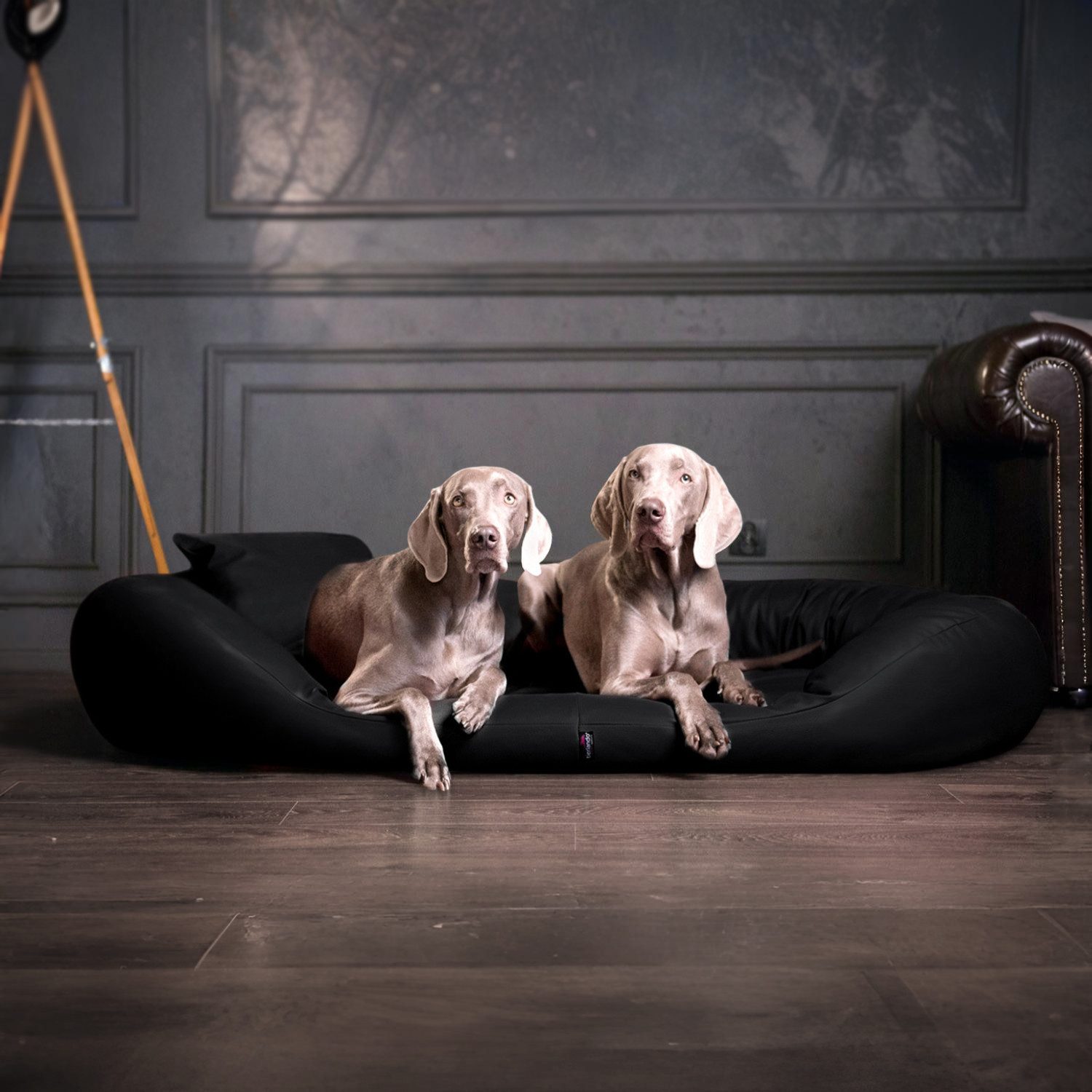 Thumbnail - tierlando® Tierbett SAMMY EASY CLEAN Orthopädisches Hundebett, Abwischbar, Haar resistent, ergonomisch