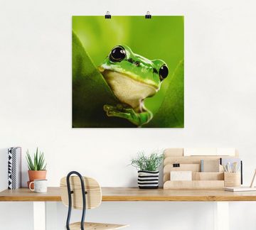 Artland Wandbild Ausspähender Frosch, Wassertiere (1 St), als Leinwandbild, Poster in verschied. Größen