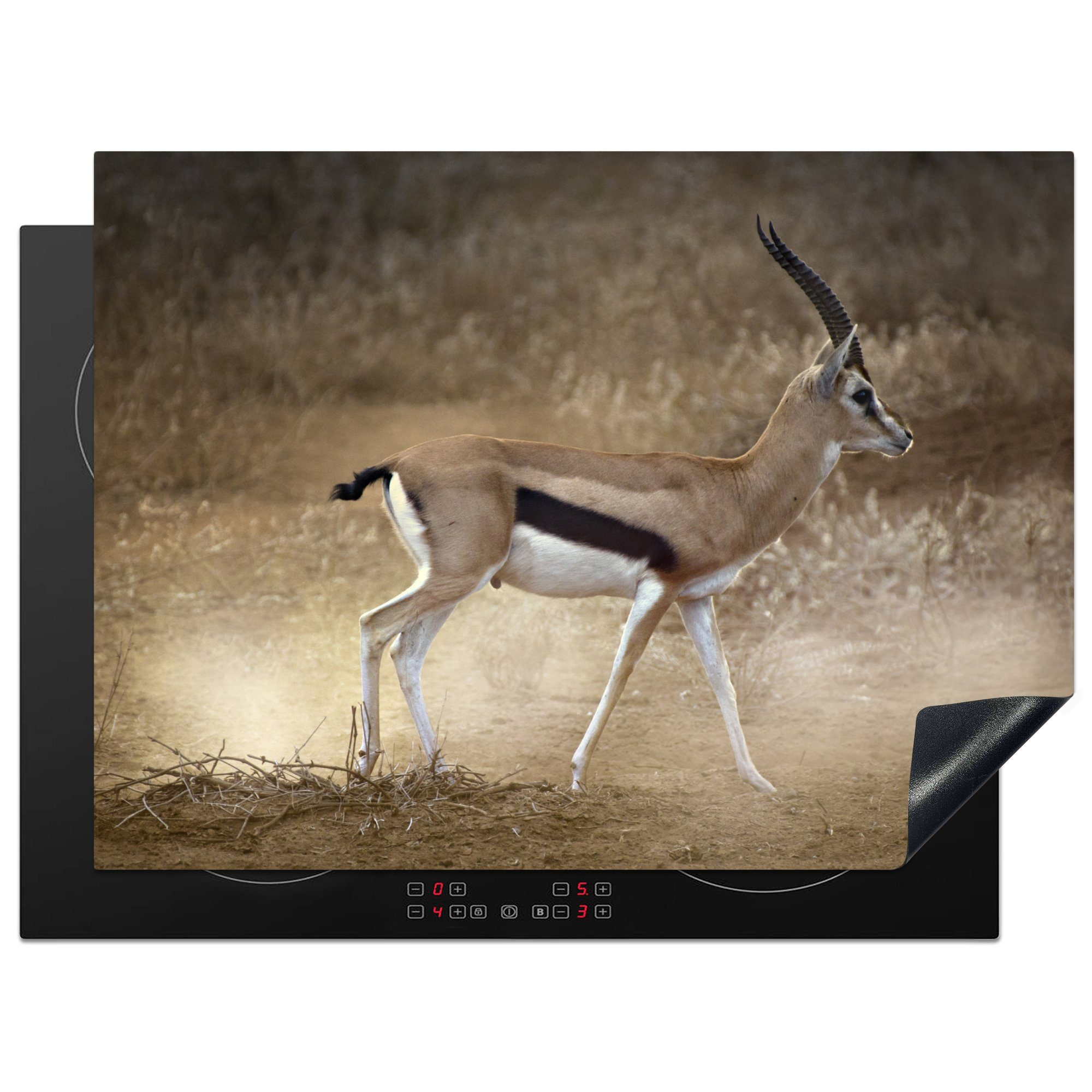 MuchoWow Herdblende-/Abdeckplatte Gazelle - Stoff - Safari, Vinyl, (1 tlg), 71x52 cm, Induktionskochfeld Schutz für die küche, Ceranfeldabdeckung