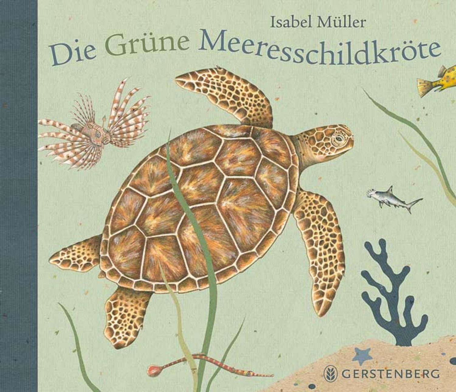 Die Grüne Meeresschildkröte / Isabel Müller