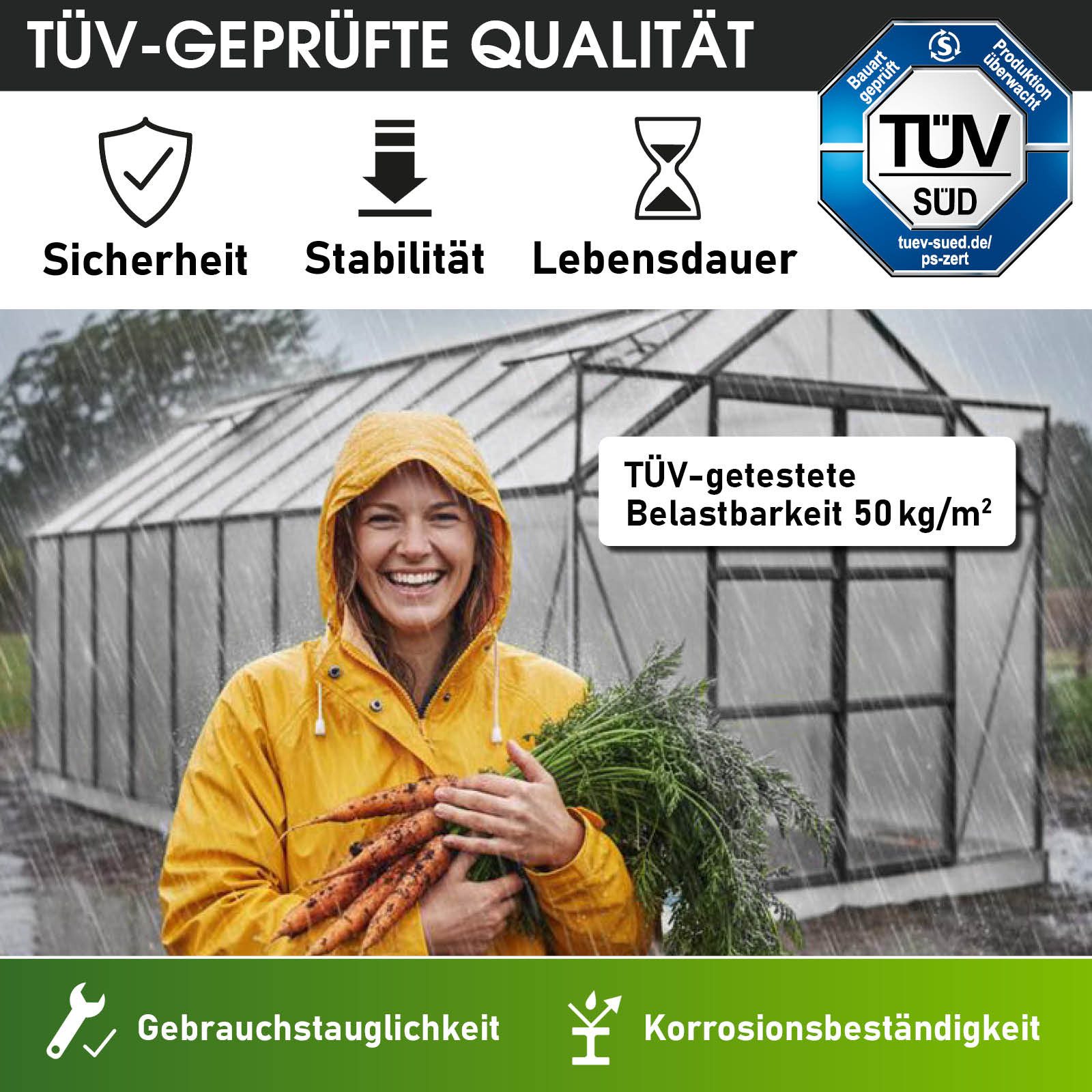 BRAST Gewächshaus ALU mit Fundament rostfrei 250x190x195cm TÜV geprüft, BxTxH: 190 x 250 x 195 cm, wetterfestes hochwertiges Aluminium, Temperaturbeständig, Wärmedämmend, Lichtbrechend & UV-stabilisiert