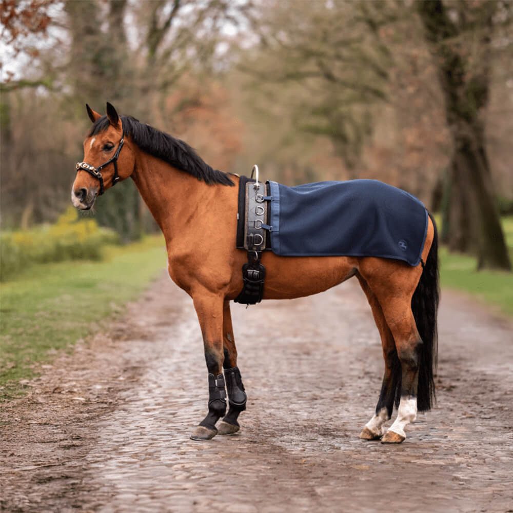 BUSSE Pferde-Abschwitzdecke Busse Longierdecke 3D Air ST