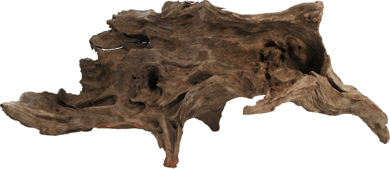 ORBIT Aquarium Orbit Kapas-Wurzel Größe L 35-40 cm