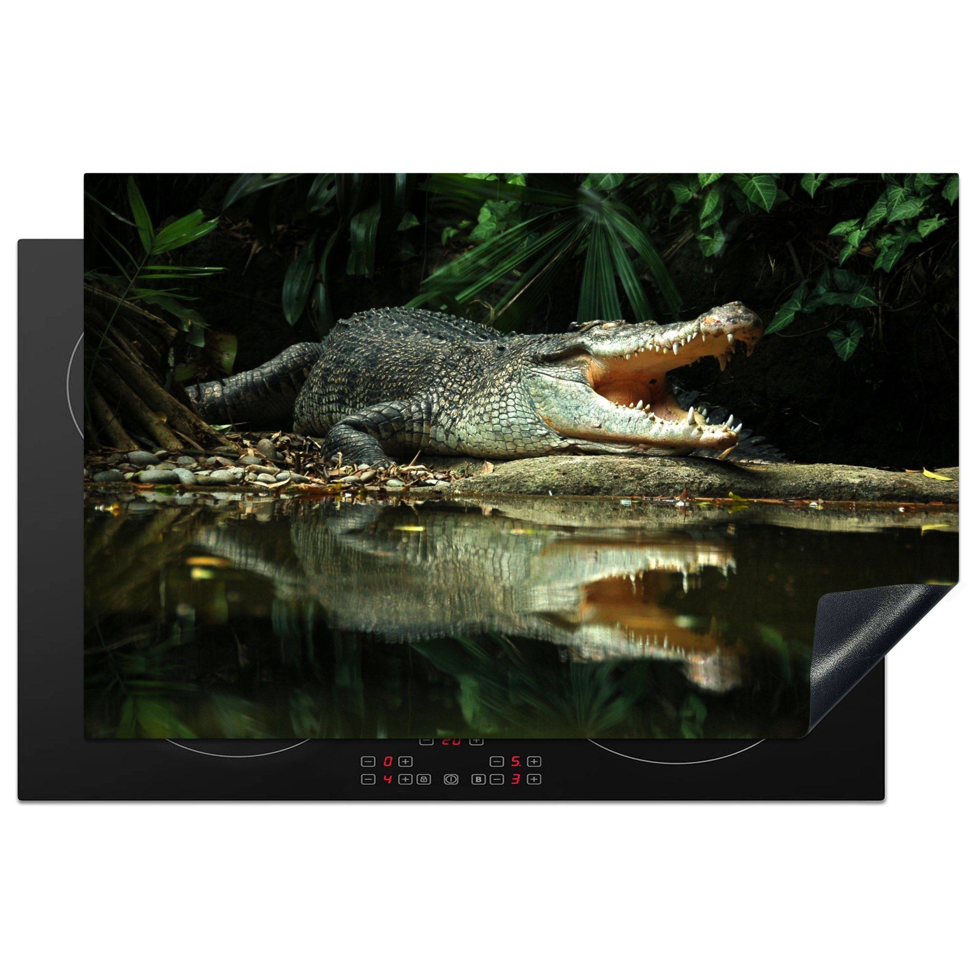 MuchoWow Herdblende-/Abdeckplatte Krokodil - Reptilien - Wasser, Vinyl, (1 tlg), 81x52 cm, Induktionskochfeld Schutz für die küche, Ceranfeldabdeckung