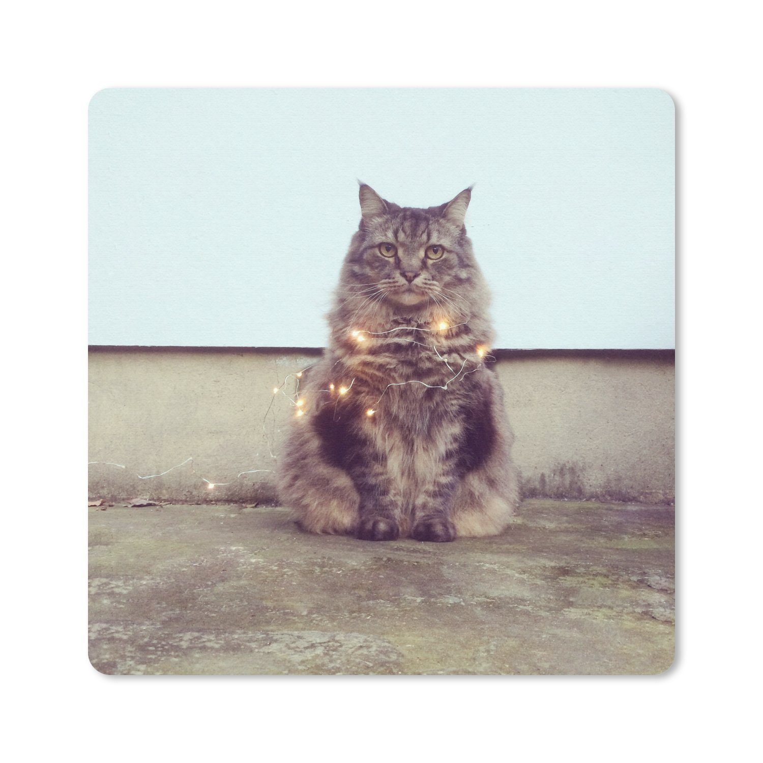 MuchoWow Mauspad Schöne Beleuchtung für die Maine Coon Katze (1-St), Mousepad, Schreibtisch Zubehör, Deko, 20x20 cm