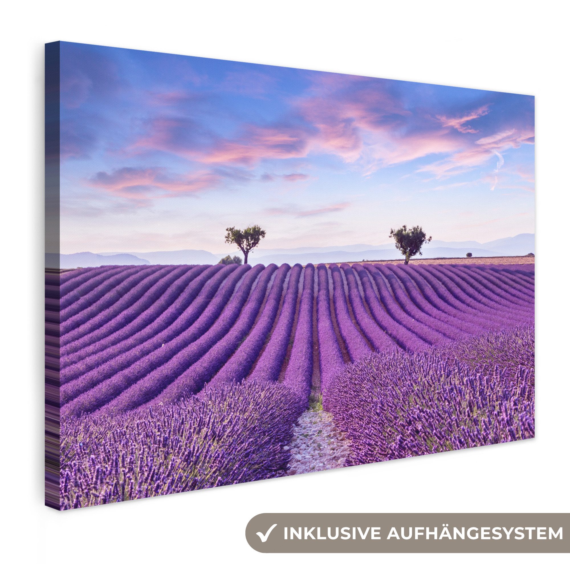 OneMillionCanvasses® Leinwandbild Lavendel - Natur - Lila - Bäume - Blumen, Fotodruck (1 St), Leinwände Wanddeko Wohnzimmer Schlafzimmer 60x40 cm