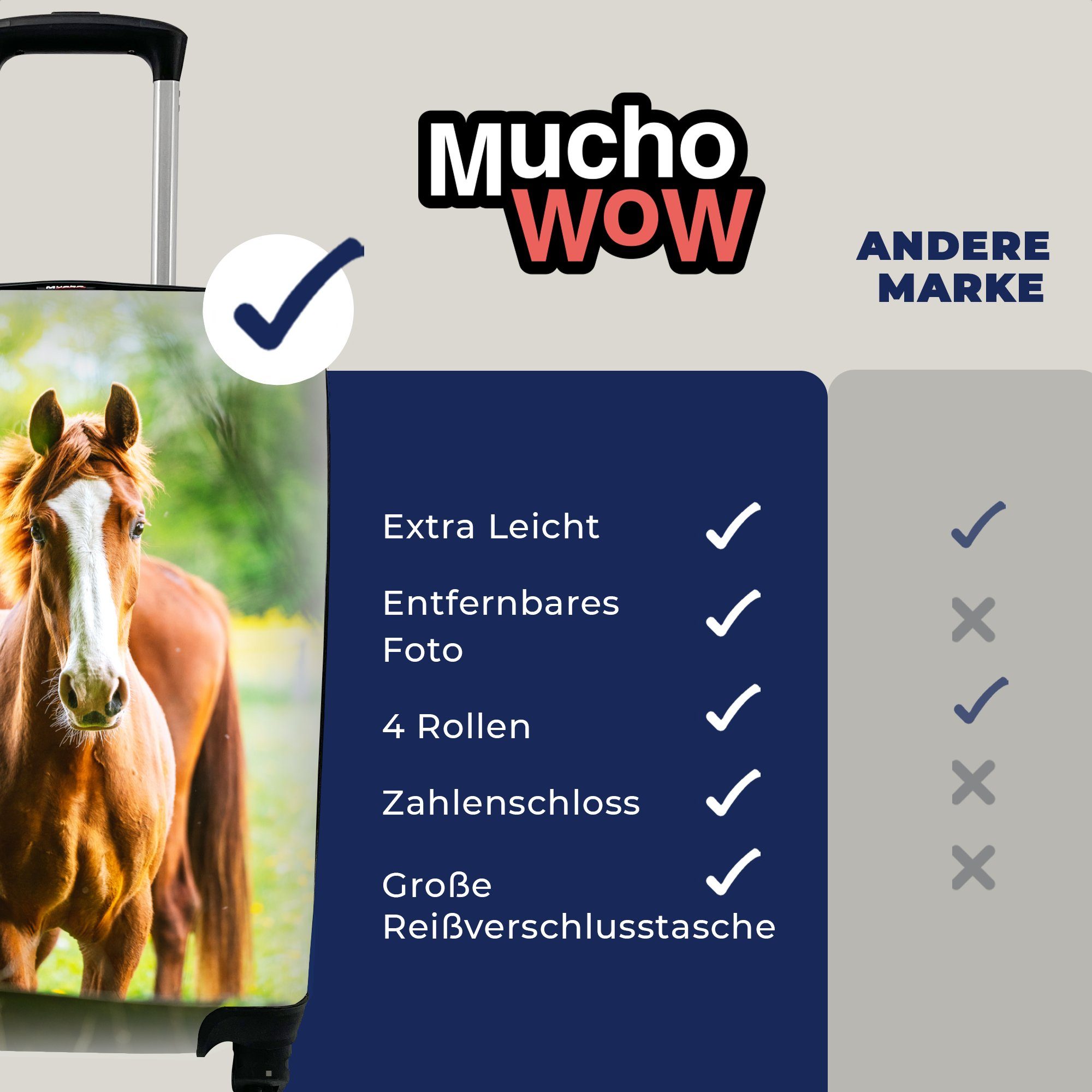 MuchoWow 4 Handgepäckkoffer Handgepäck Reisetasche Reisekoffer Pferde Ferien, Trolley, für mit - Licht Rollen, - Wiese, rollen,