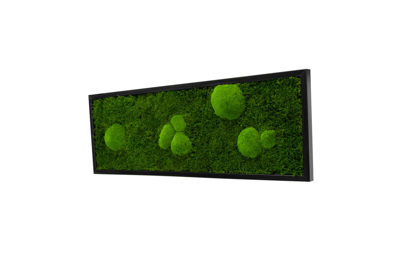 Moos-Design Bilderrahmen Moos Bild Forest Design günstig online kaufen