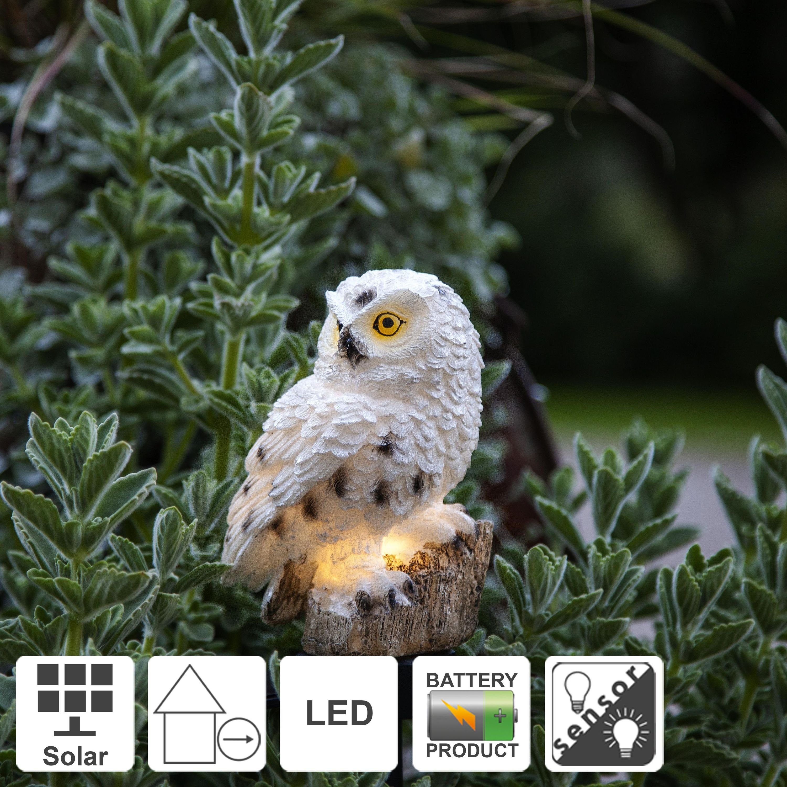 STAR TRADING LED Solarleuchte Owl, Solar Wegeleuchte Owl
