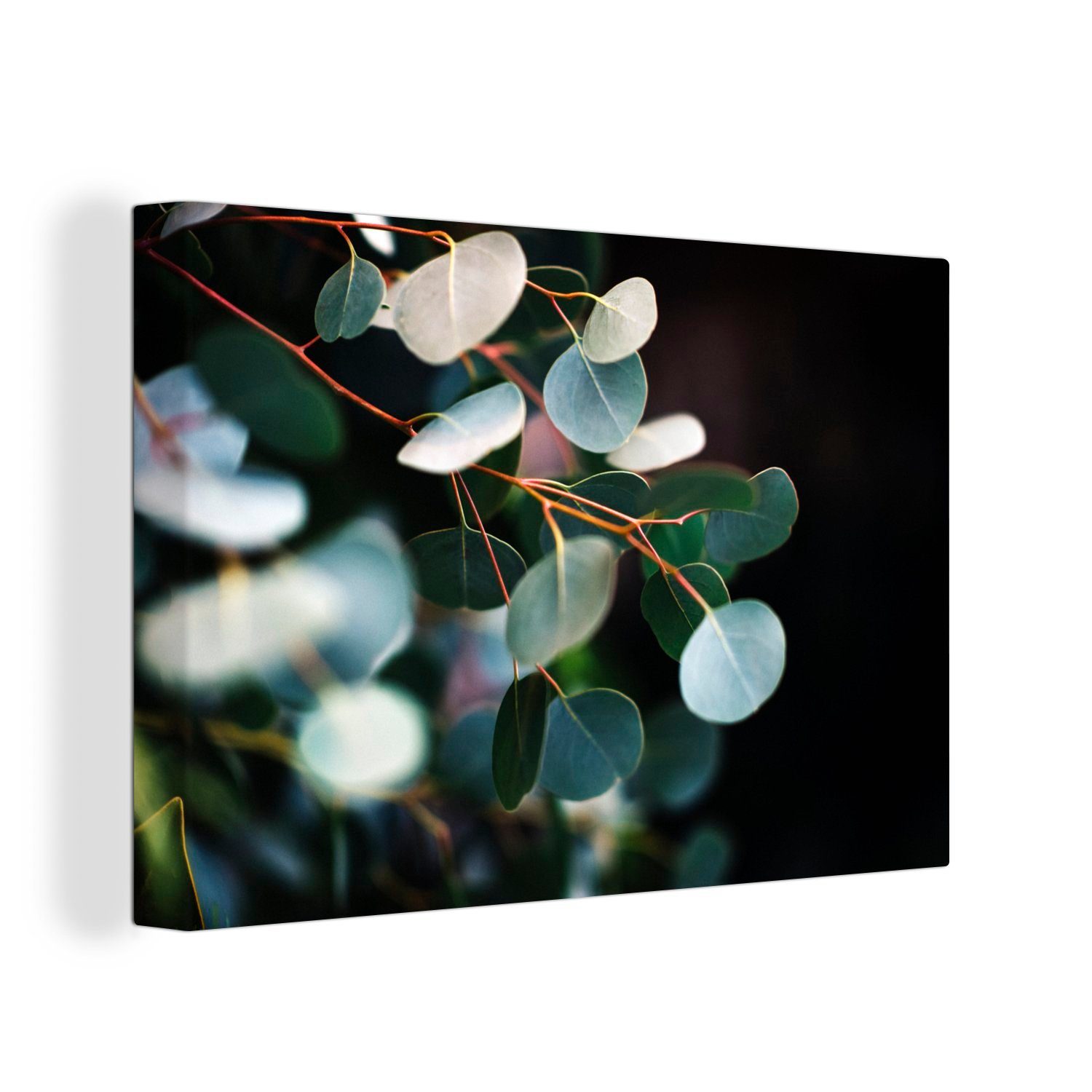 OneMillionCanvasses® Leinwandbild Eukalyptusblätter auf Zweigen, (1 St), Wandbild Leinwandbilder, Aufhängefertig, Wanddeko, 30x20 cm