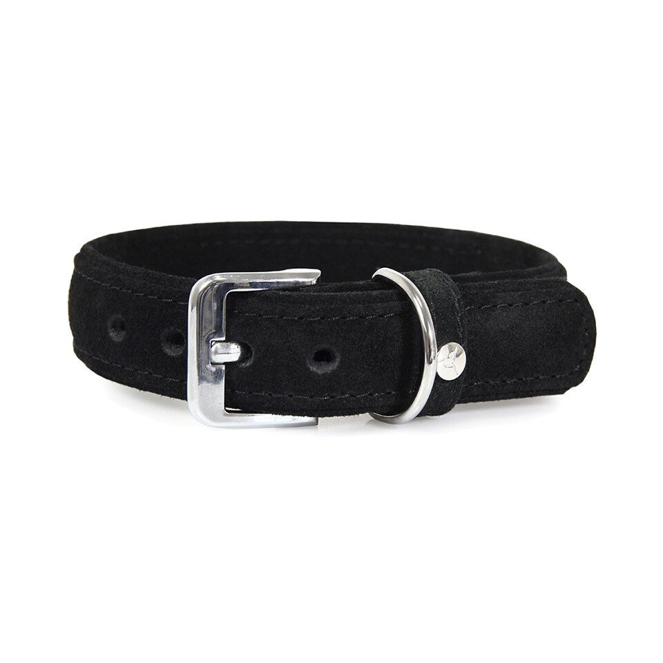 Das Lederband Hunde-Halsband Hundehalsband Toronto schwarz/schwarz