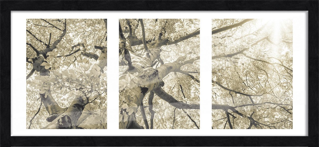 The Wall - the art of framing AG Bilderrahmen Bilderrahmen Holz Luzern schwarz 23 x 50 cm