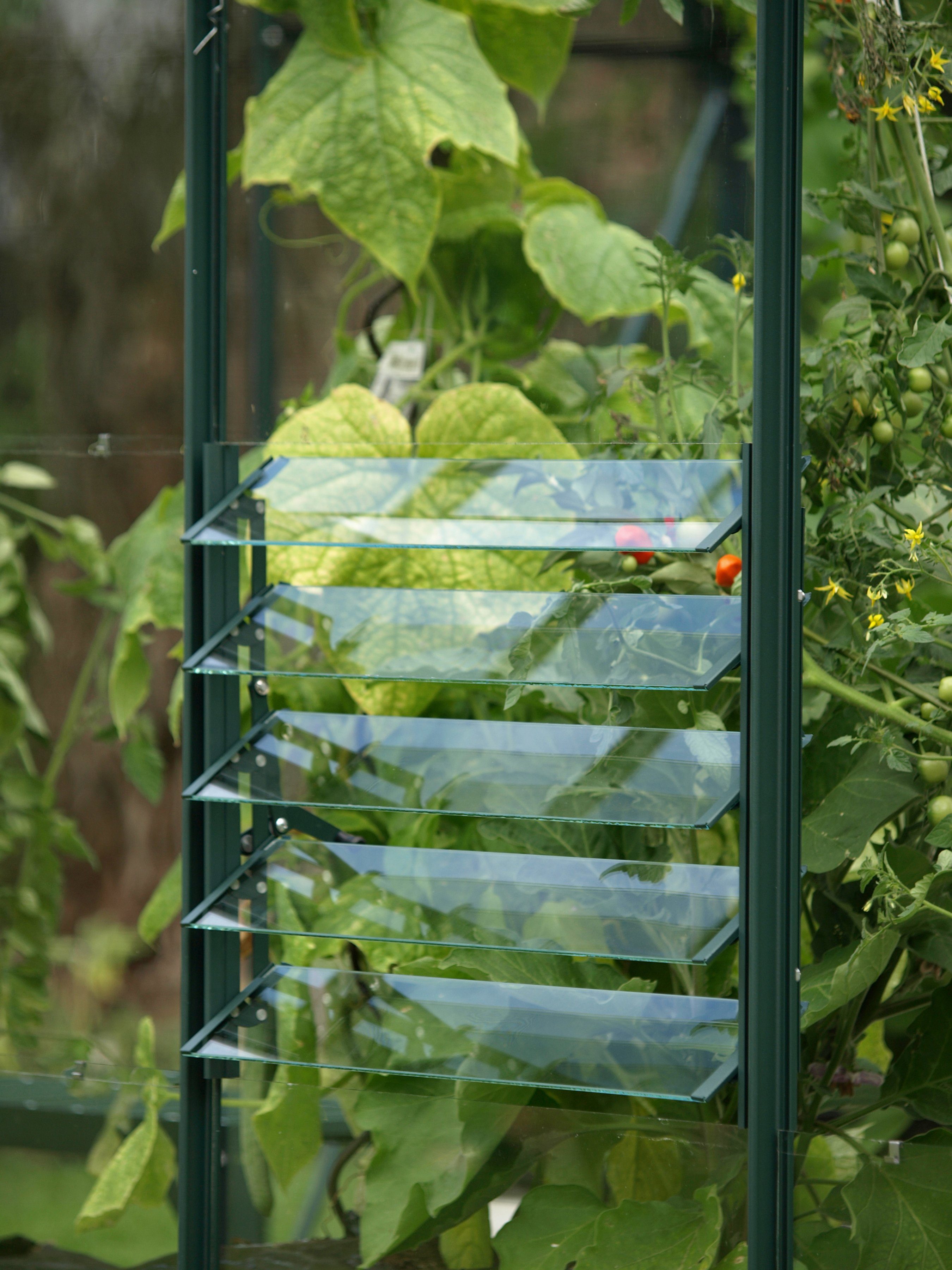 Vitavia Fenster Lamellenfenster, grün, BxH: 61x45 cm