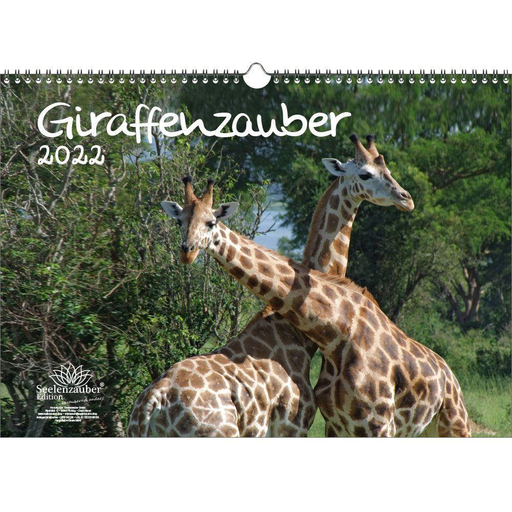 Giraffenzauber DIN A3 Kalender für 2022 Giraffen Seelenzauber 