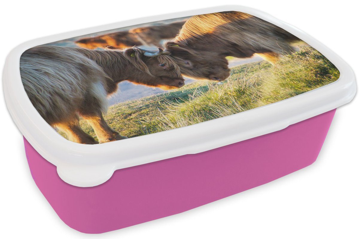 Brotbox Kunststoff, - Kinder, Brotdose (2-tlg), für Snackbox, Sonne, Highlander Erwachsene, rosa - Lunchbox MuchoWow Kunststoff Schottische Tiere Mädchen,