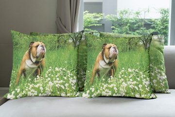 Kissenbezüge Modern Accent Doppelseitiger Digitaldruck, Abakuhaus (4 Stück), Englische Bulldogge Blossom Gänseblümchen