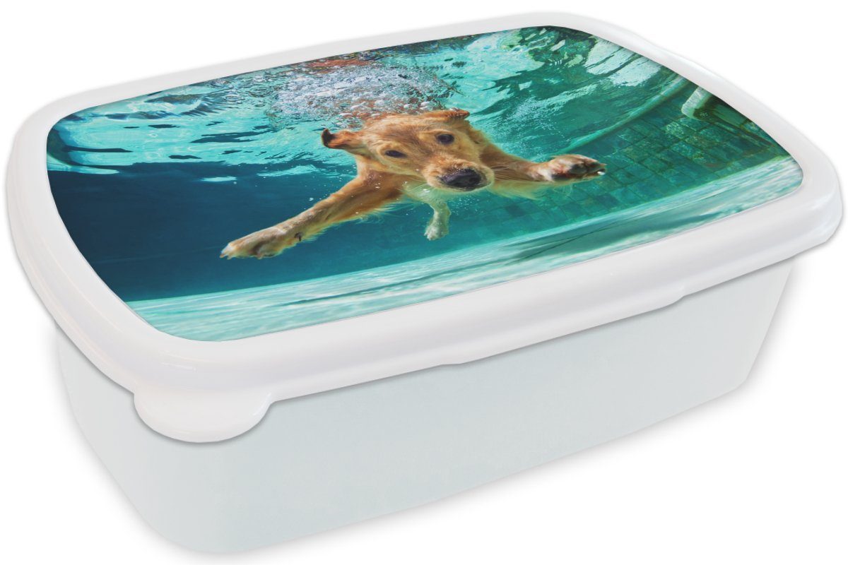 MuchoWow Lunchbox Pool - Mädchen weiß Brotbox Wasser, für Kinder Hund Erwachsene, für (2-tlg), - Kunststoff, und Jungs Brotdose, und