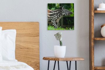 OneMillionCanvasses® Leinwandbild Junger Tapir im Dschungel, (1 St), Leinwand Bilder für Wohnzimmer Schlafzimmer