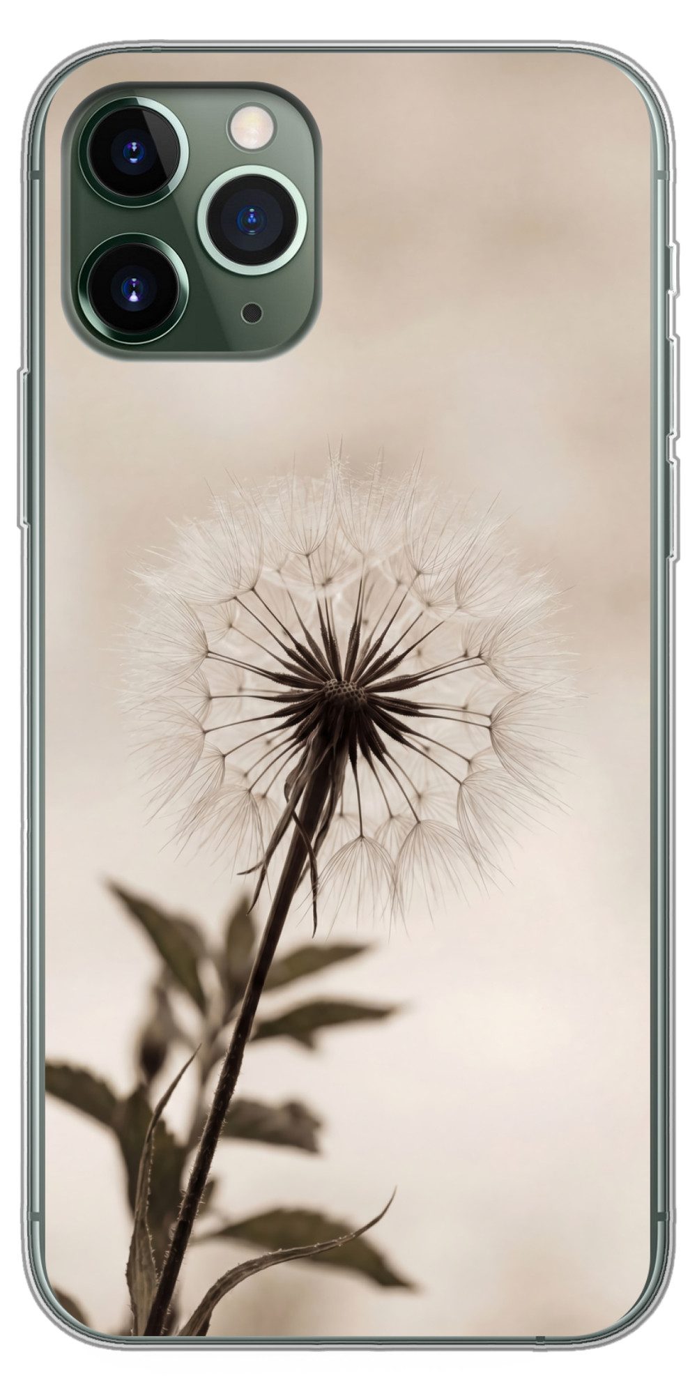 MuchoWow Handyhülle für Apple iPhone 11 Pro Pusteblume - Minimalistisch - Weiß, Smartphone-Bumper, Print, Handy Schutzhülle Dünn