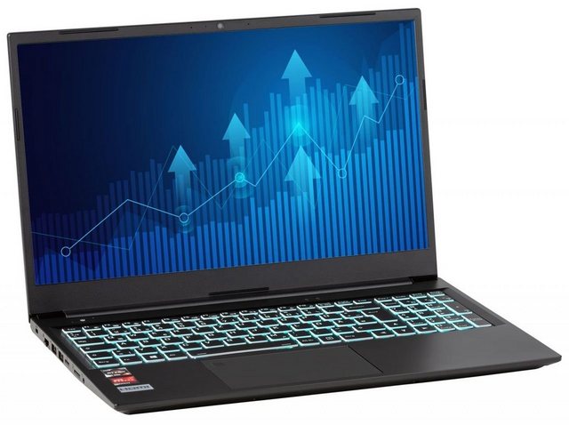 CAPTIVA Power Starter R60 922 Business Notebook (39,6 cm 15,6 Zoll, AMD Ryzen 7 Ryzen 7 4700 U, 250 GB SSD)  - Onlineshop OTTO