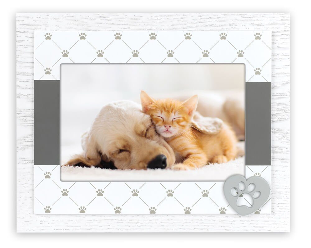 matches21 HOME & HOBBY Hund, (1 cm, St), 1 Bilderrahmen Katze weiß/grau 10x15 & Pfoten Bilderrahmen Stk Holz Haustier