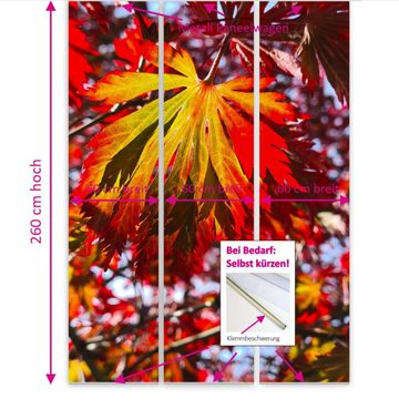 Schiebegardine Das rote Blatt Flächenvorhang 3er Set 260 cm lang – kürzbar - B-line, gardinen-for-life