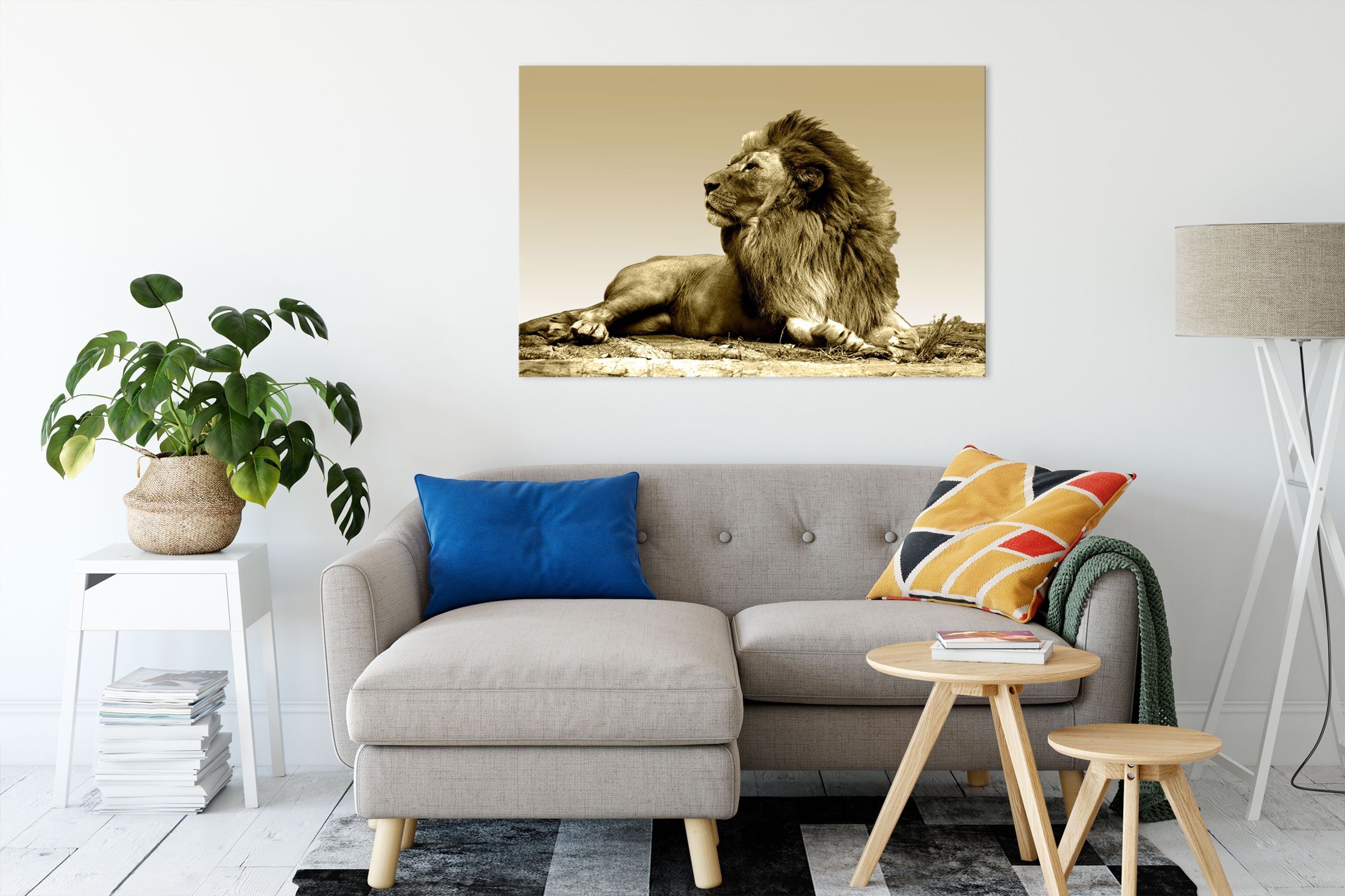 fertig liegender Löwe, Leinwandbild Pixxprint Leinwandbild (1 inkl. St), liegender Löwe bespannt, Zackenaufhänger