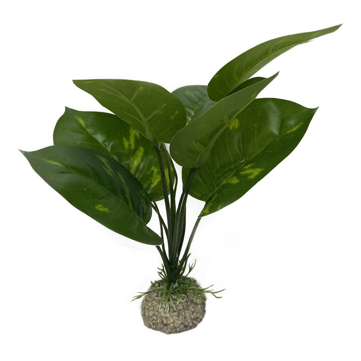 Aquariendeko Aquarium Dekoration Anubias 1 grün