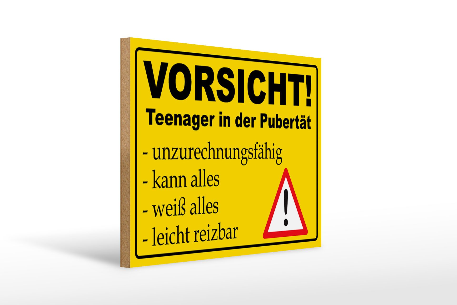 Femer GmbH Holzbild Hinweis 40x30cm Vorsicht Teenager in Pubertät, Sprüche Zitate Lustiges (1 St), Glatte Holzfaserplatte (MDF), vorn beschichtet