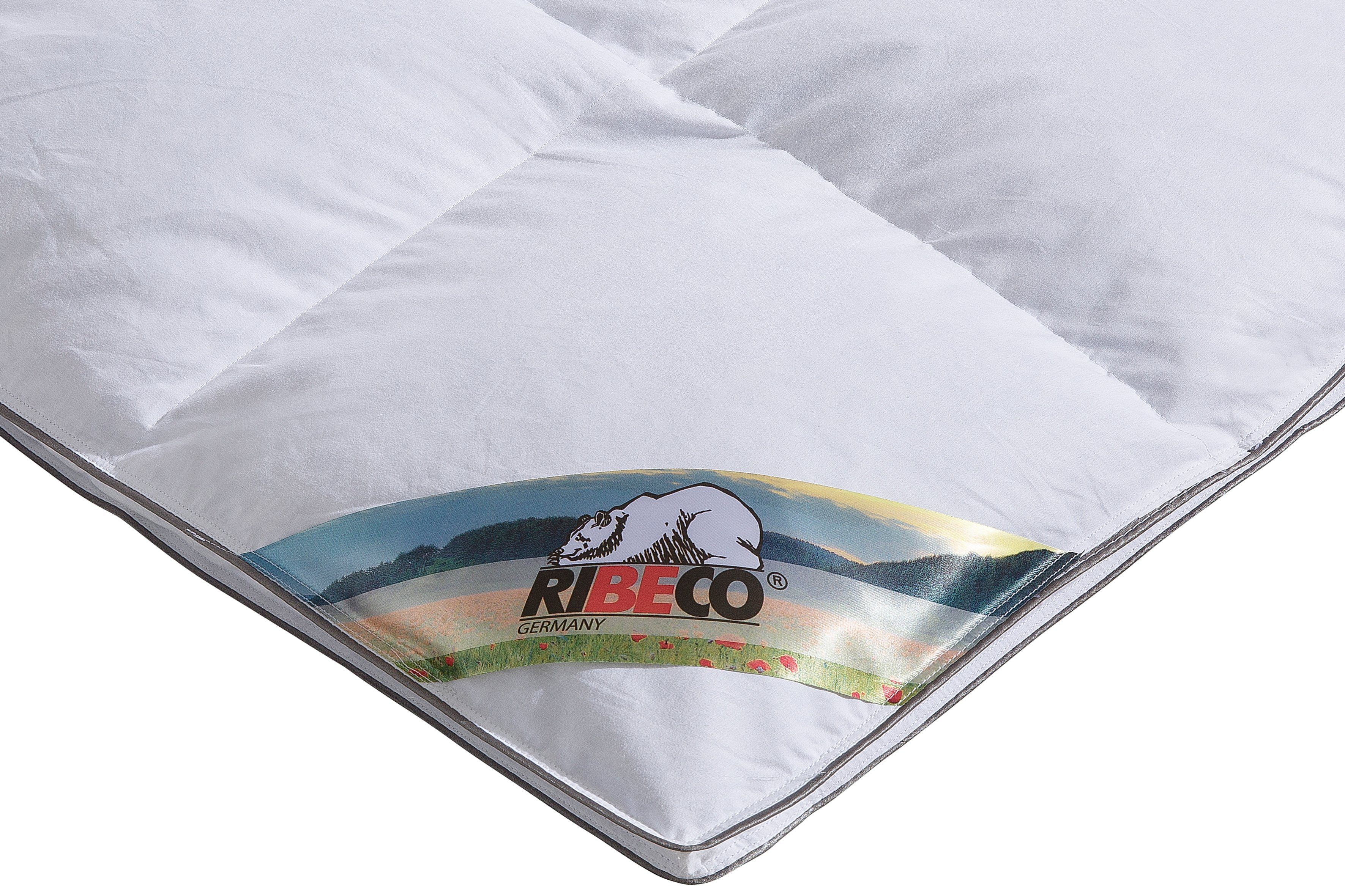 RIBECO Federbettdecke Überraschungspaket, Bettdecken für Sommer oder Winter, Füllung: 90% Federn, 10% Daunen, Bezug: 100% Baumwolle, die Farbe wird die Überraschung sein! Bettdecke 135x200cm