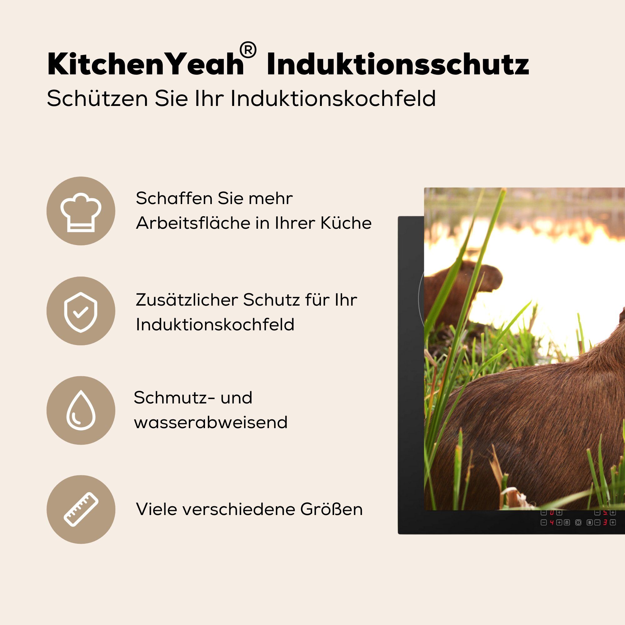 MuchoWow Herdblende-/Abdeckplatte Ein Capybara 81x52 küche, tlg), dem zwischen Schutz Induktionskochfeld Ceranfeldabdeckung die hohen Vinyl, (1 für cm, Schilf