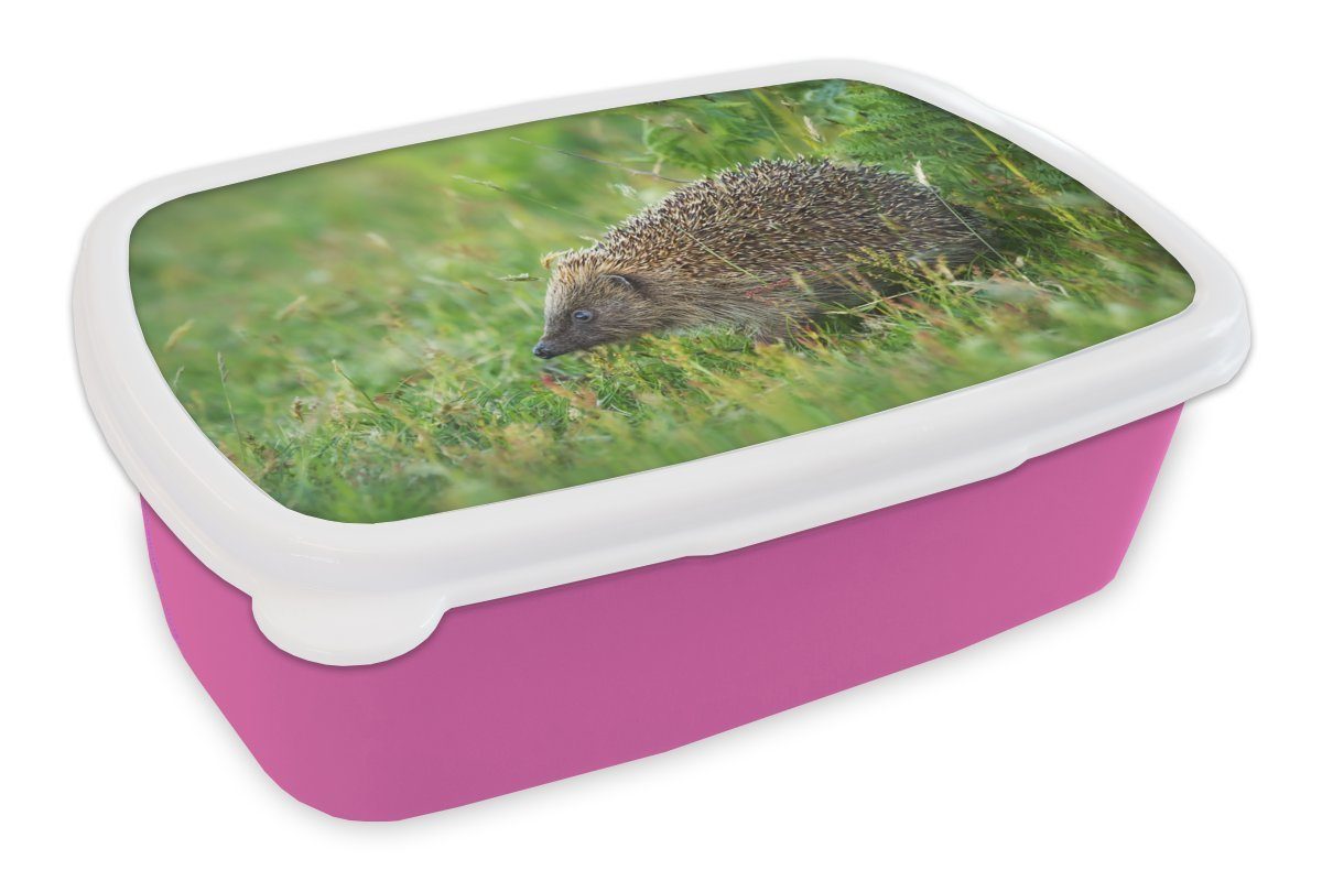 MuchoWow Lunchbox Igel steht im Gras, Kunststoff, (2-tlg), Brotbox für Erwachsene, Brotdose Kinder, Snackbox, Mädchen, Kunststoff rosa