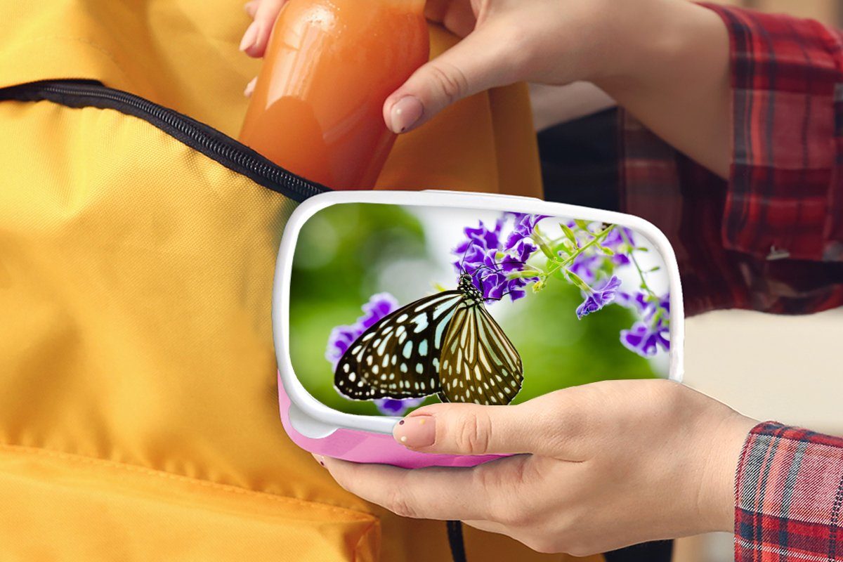 Kinder, Brotbox Brotdose rosa Kunststoff, - Lunchbox für - Botanisch, (2-tlg), Kunststoff Erwachsene, Lavendel Schmetterling MuchoWow Mädchen, Snackbox,